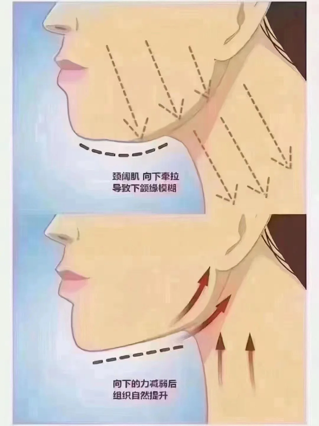 宝子们 轮廓美学来咯