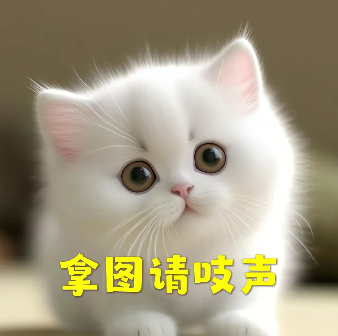 25超🔥壁纸来袭