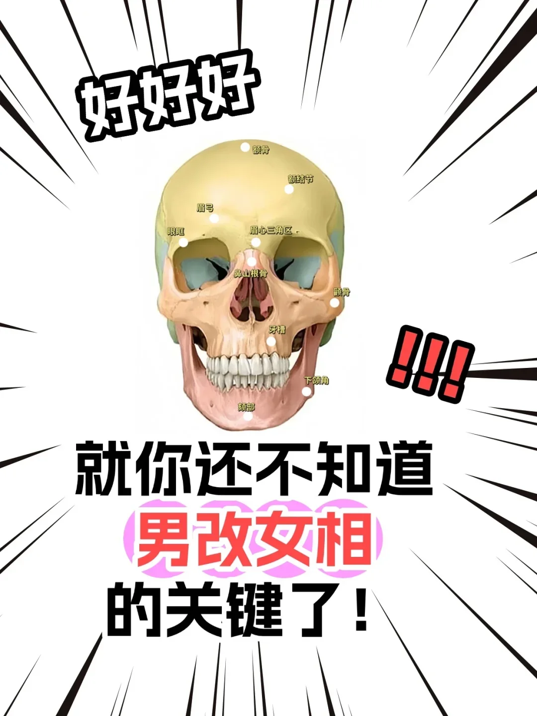 女性化面部改造指南来啦！跨性别姐妹必看！