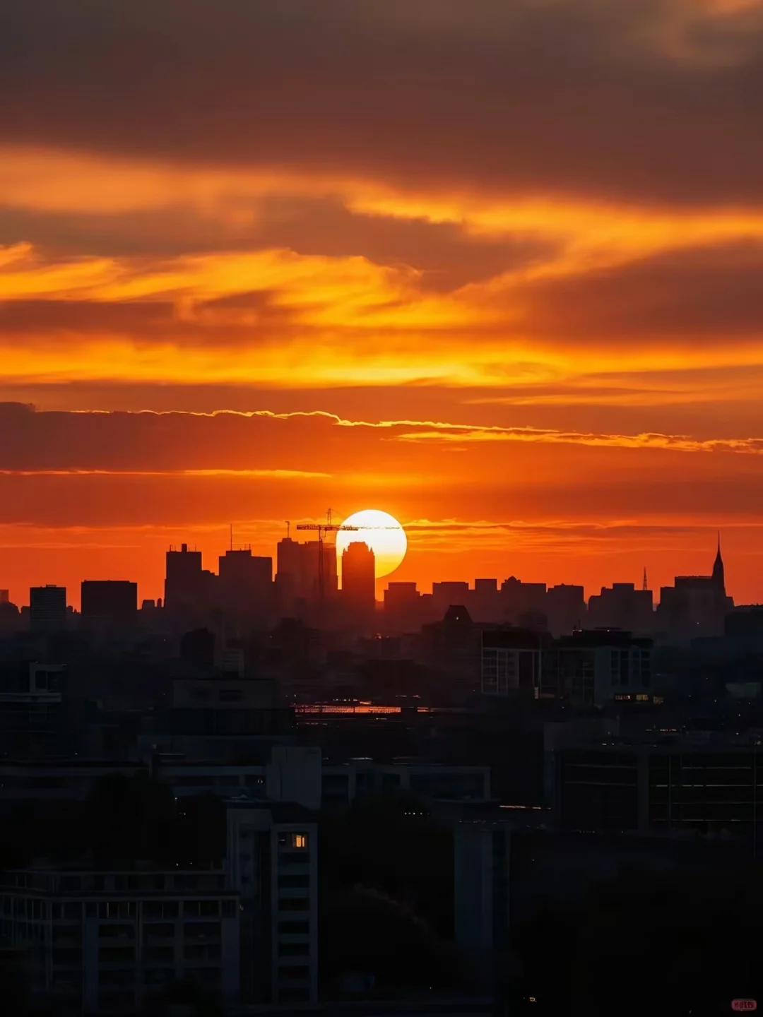 今日分享｜关于日落 🌅