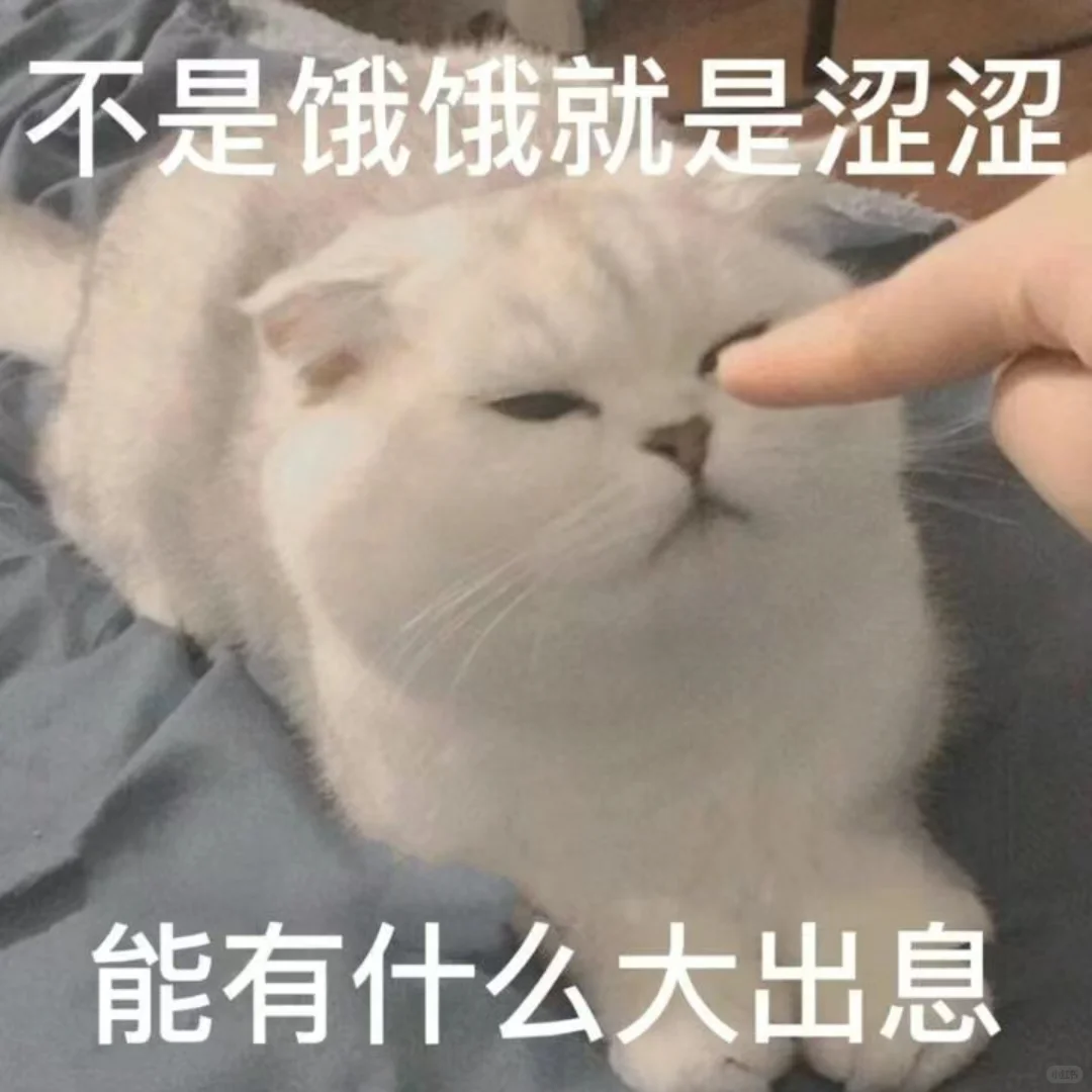 我一直鼓励女生大胆谈性