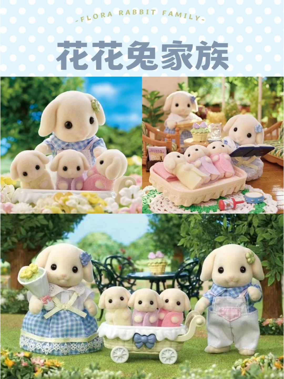 森贝儿家族——第五弹