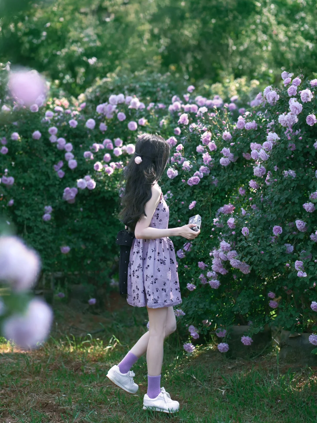 与花花合影的瞬间📷是温柔的蔷薇花女孩啊