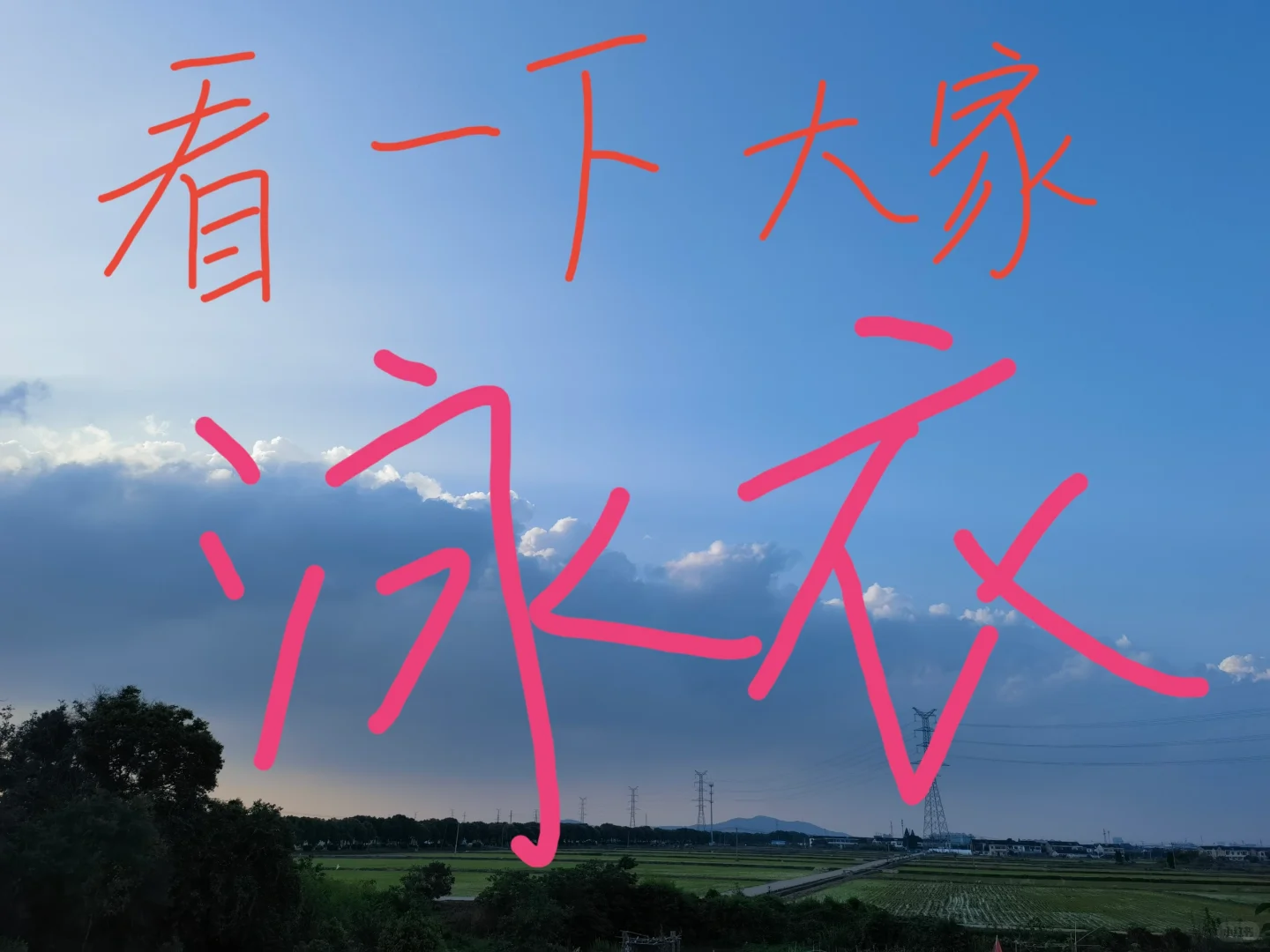看看大家的战衣———泳衣