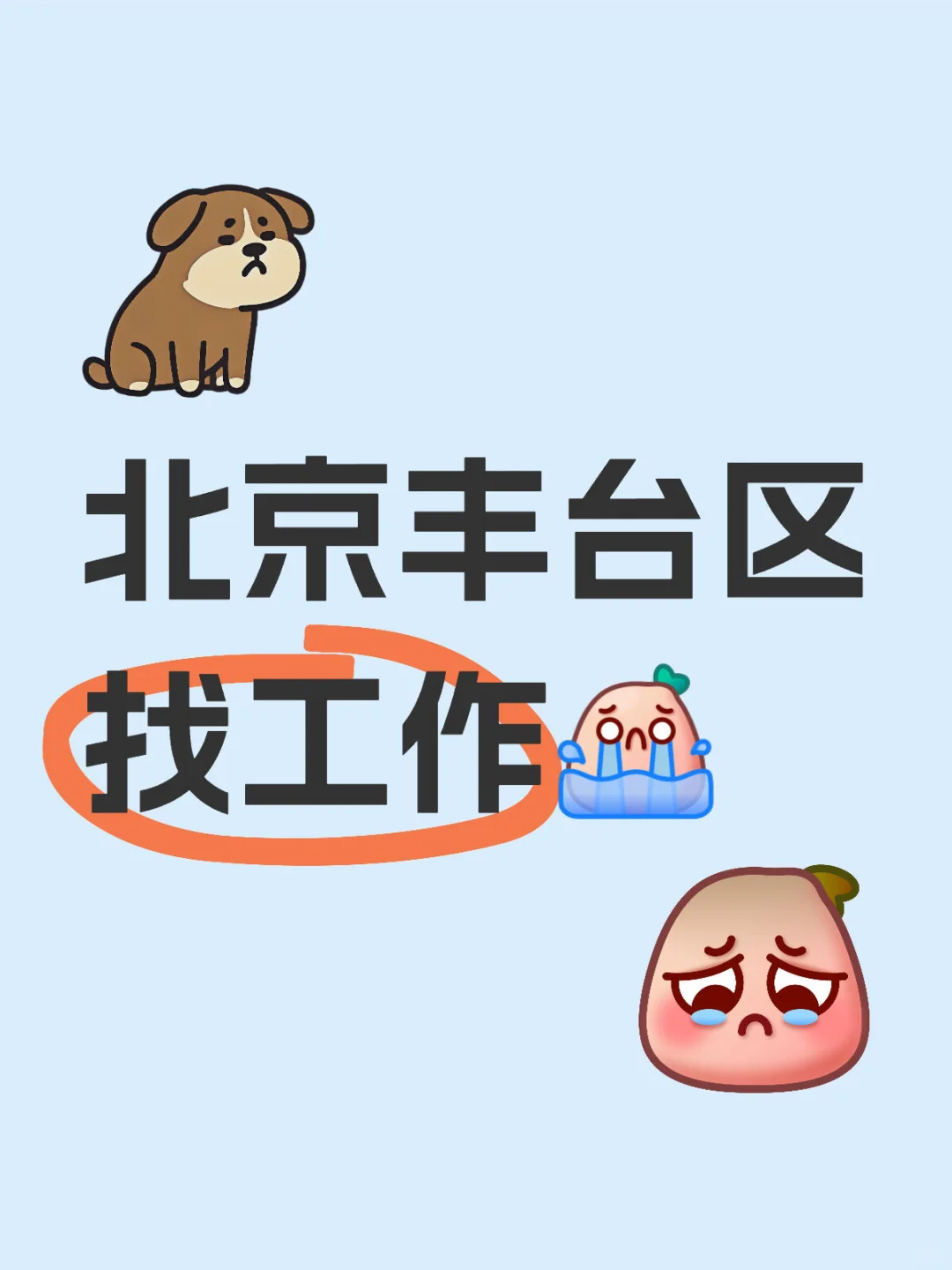 北京丰台区找工作