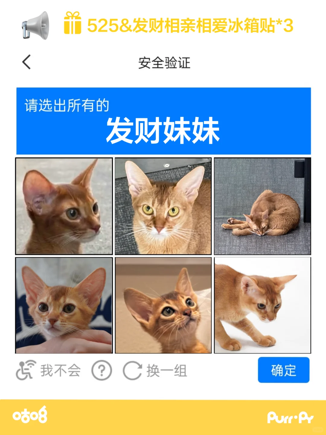 🎁｜咕噜铁铁粉测试！！📝