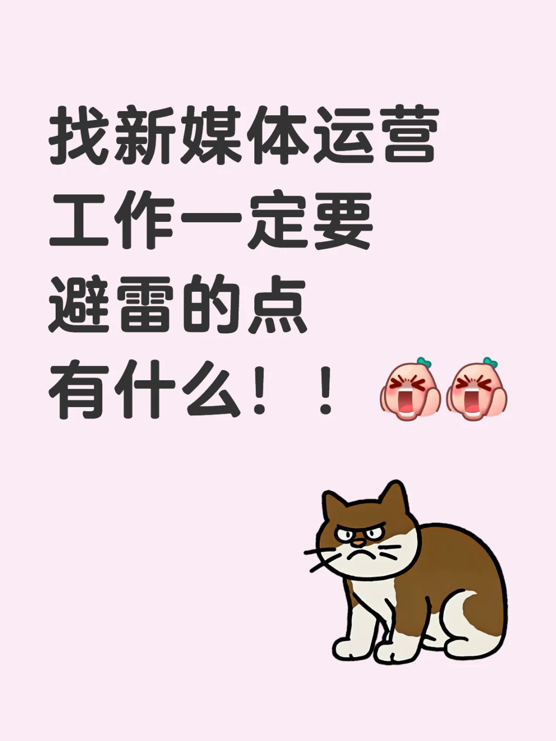 新媒体运营工作应该怎么找到合适且不是牛马