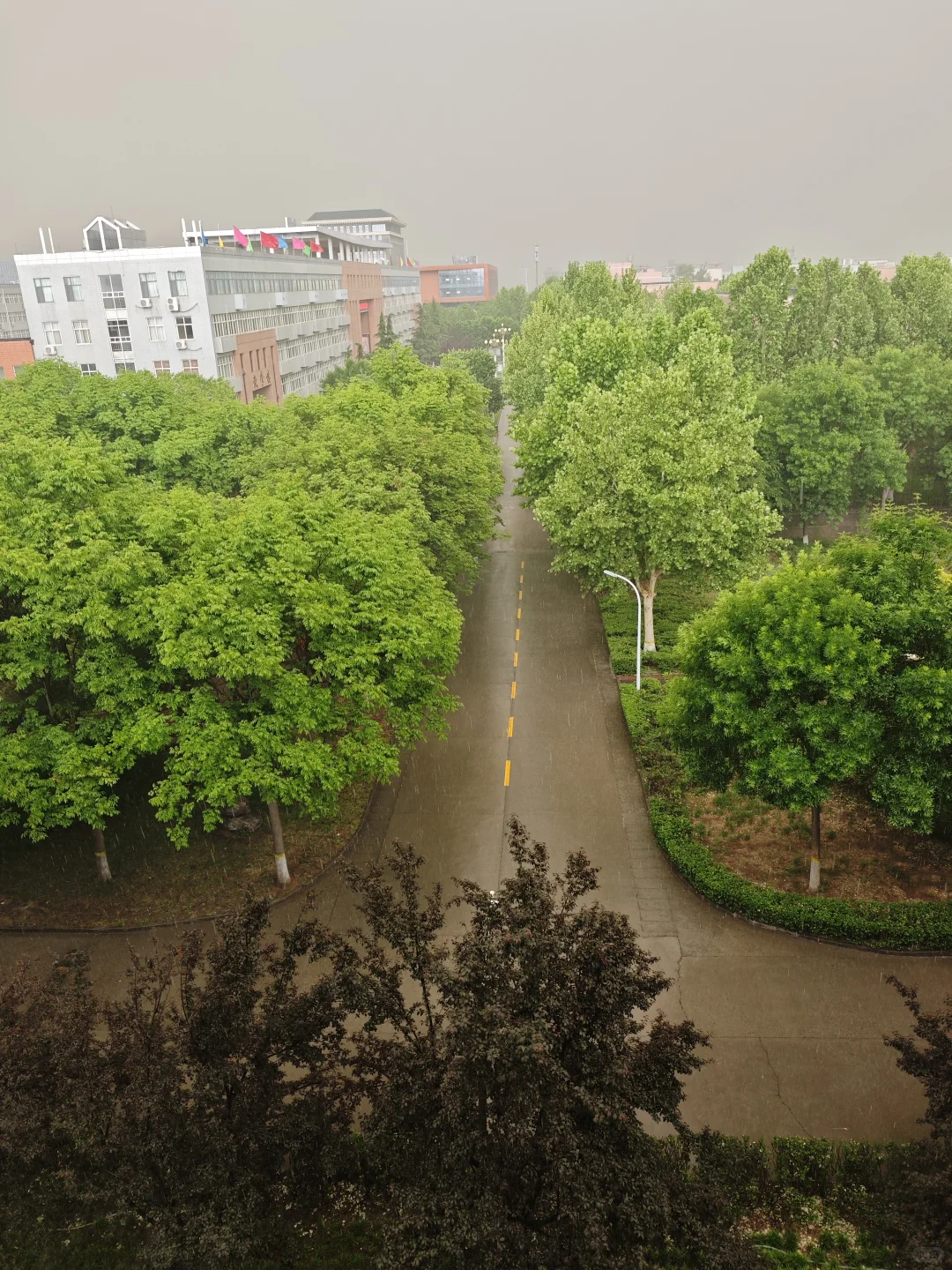 spring.