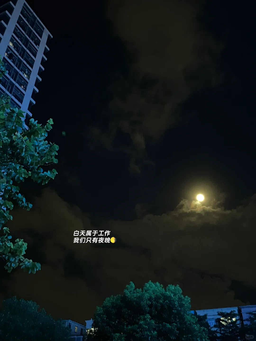 30岁｜建议职场人下班就去游泳！