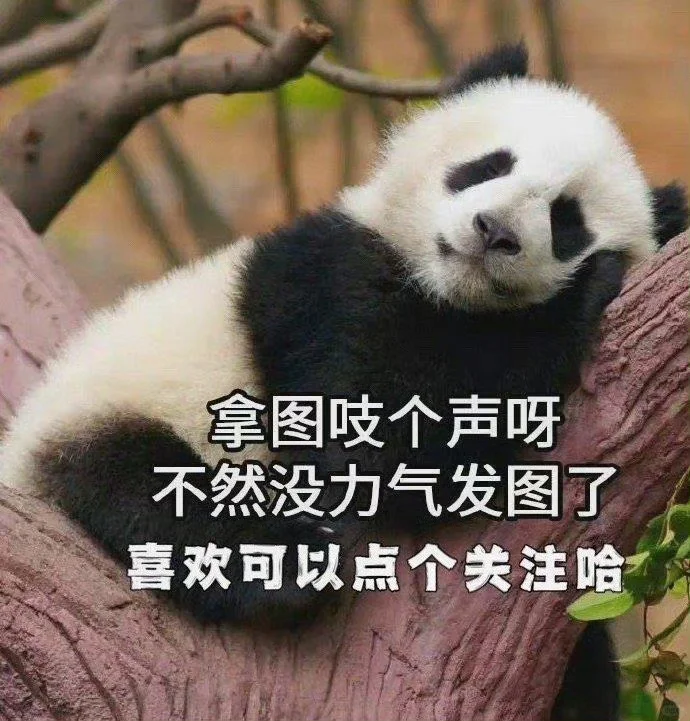 拿去当壁纸玩吧