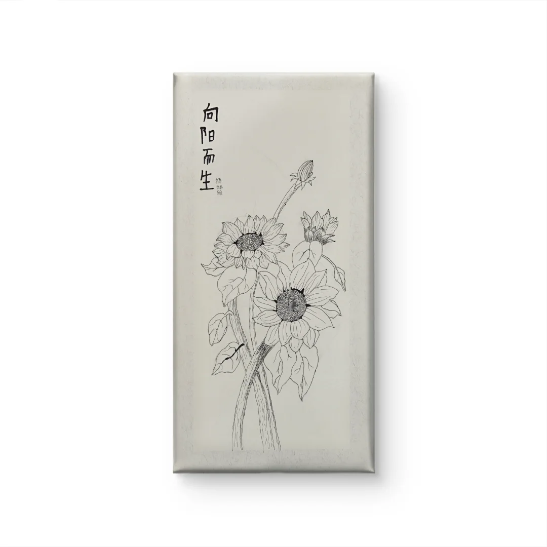 线描，纯粹的艺术魔法🪄