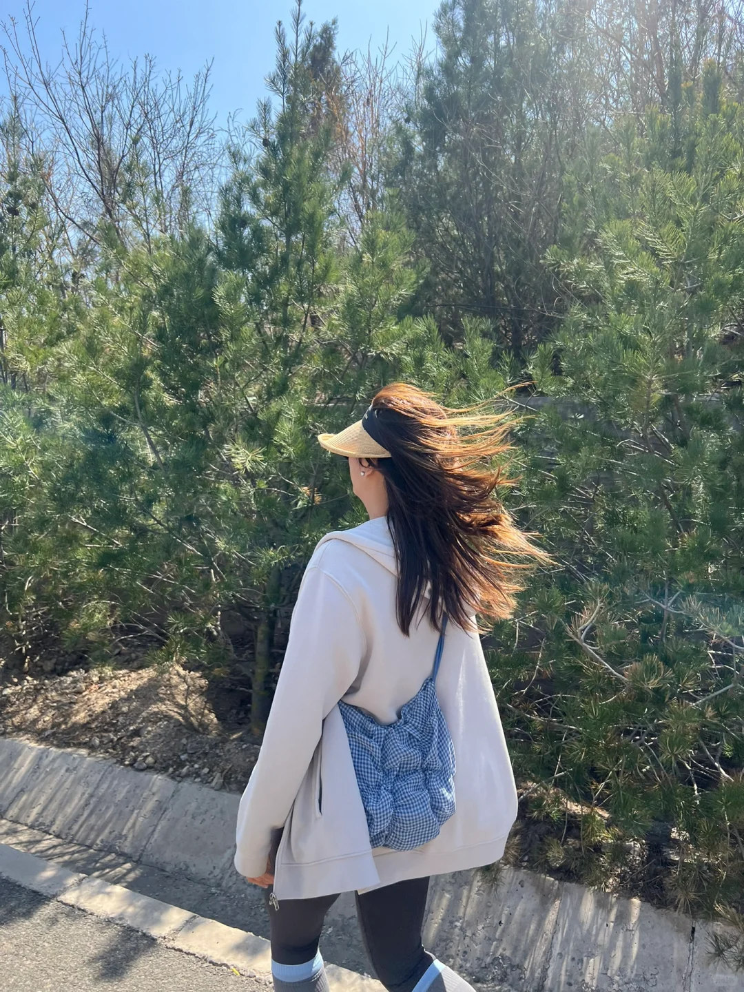 爬山⛰️ 治愈我的往往是生命力和多巴胺