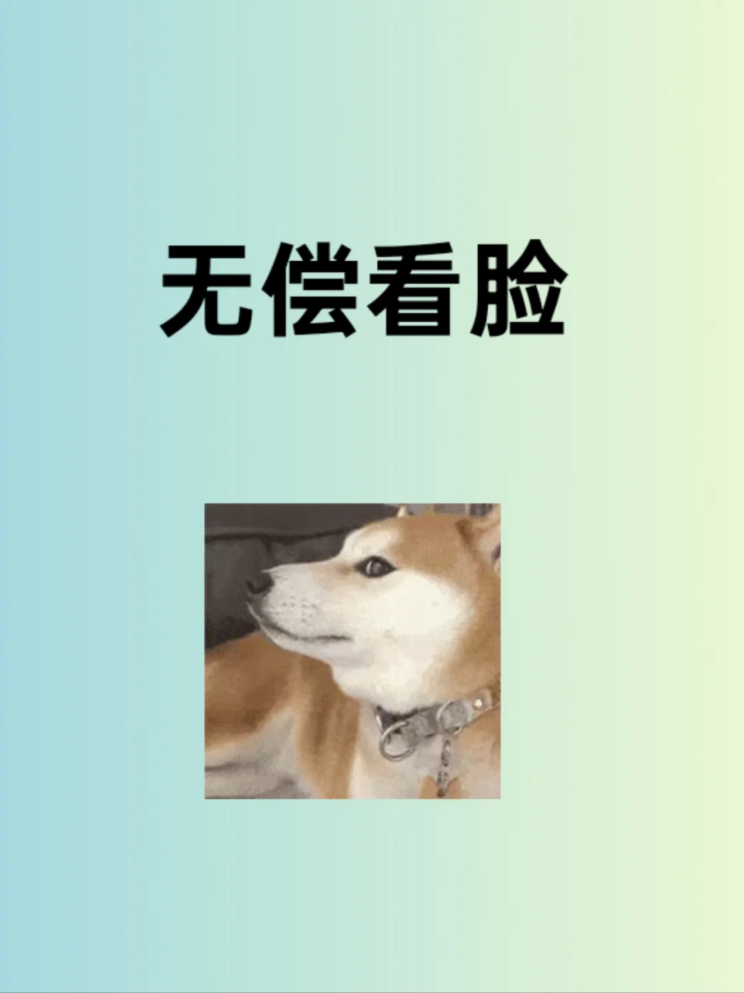专业看脸