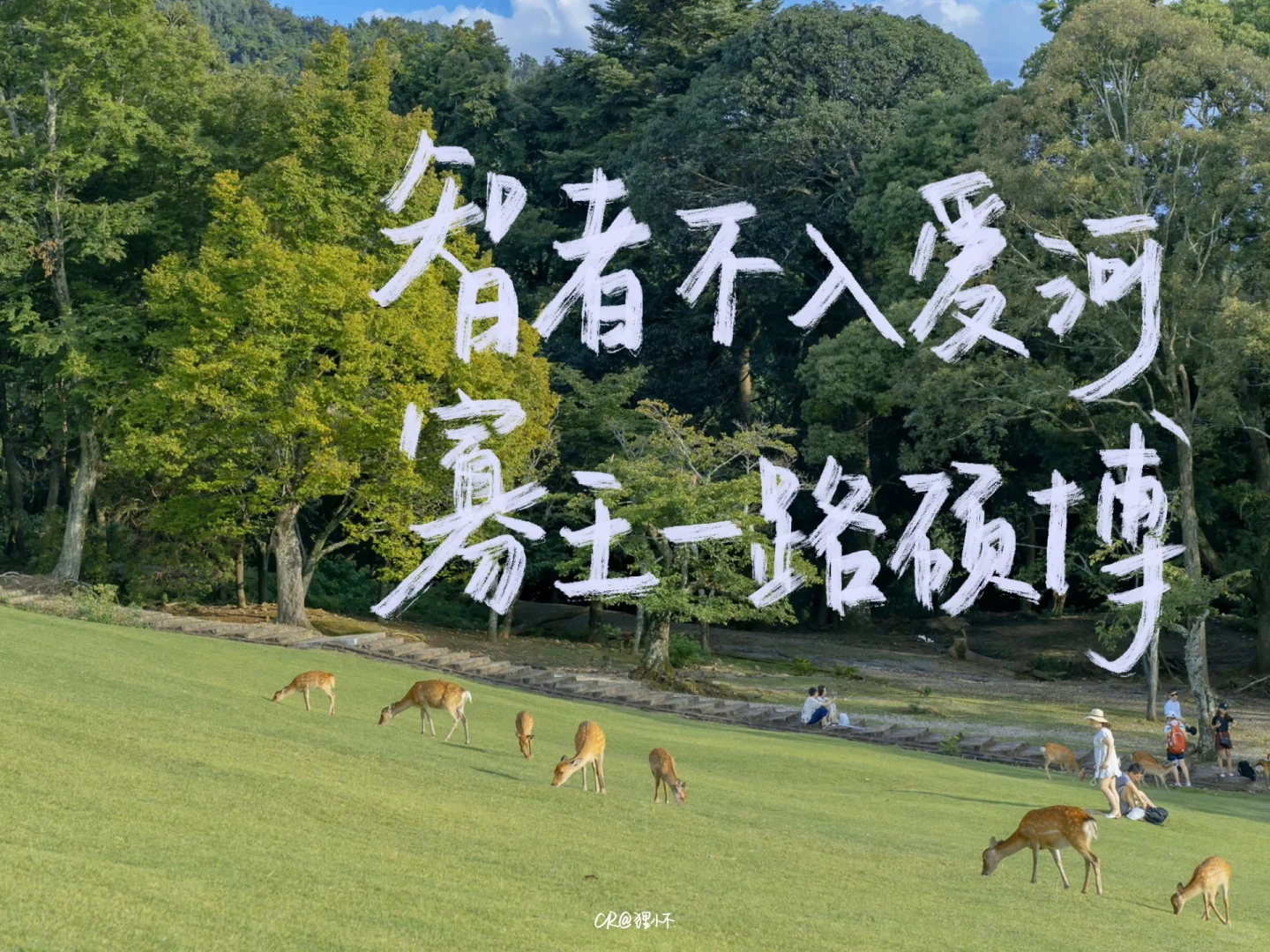 手写|ipad壁纸|听闻少年二字，应与平庸相斥