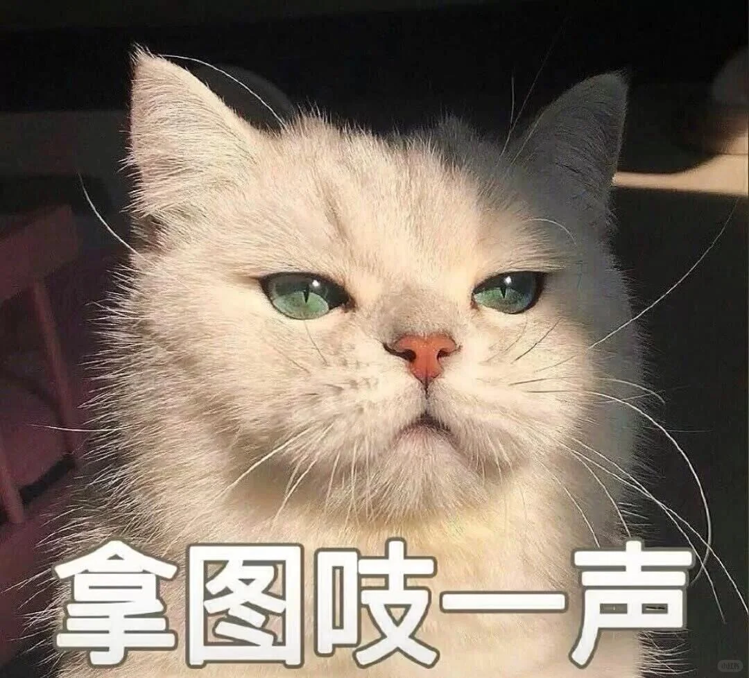 来选一张让你心情愉悦的壁纸