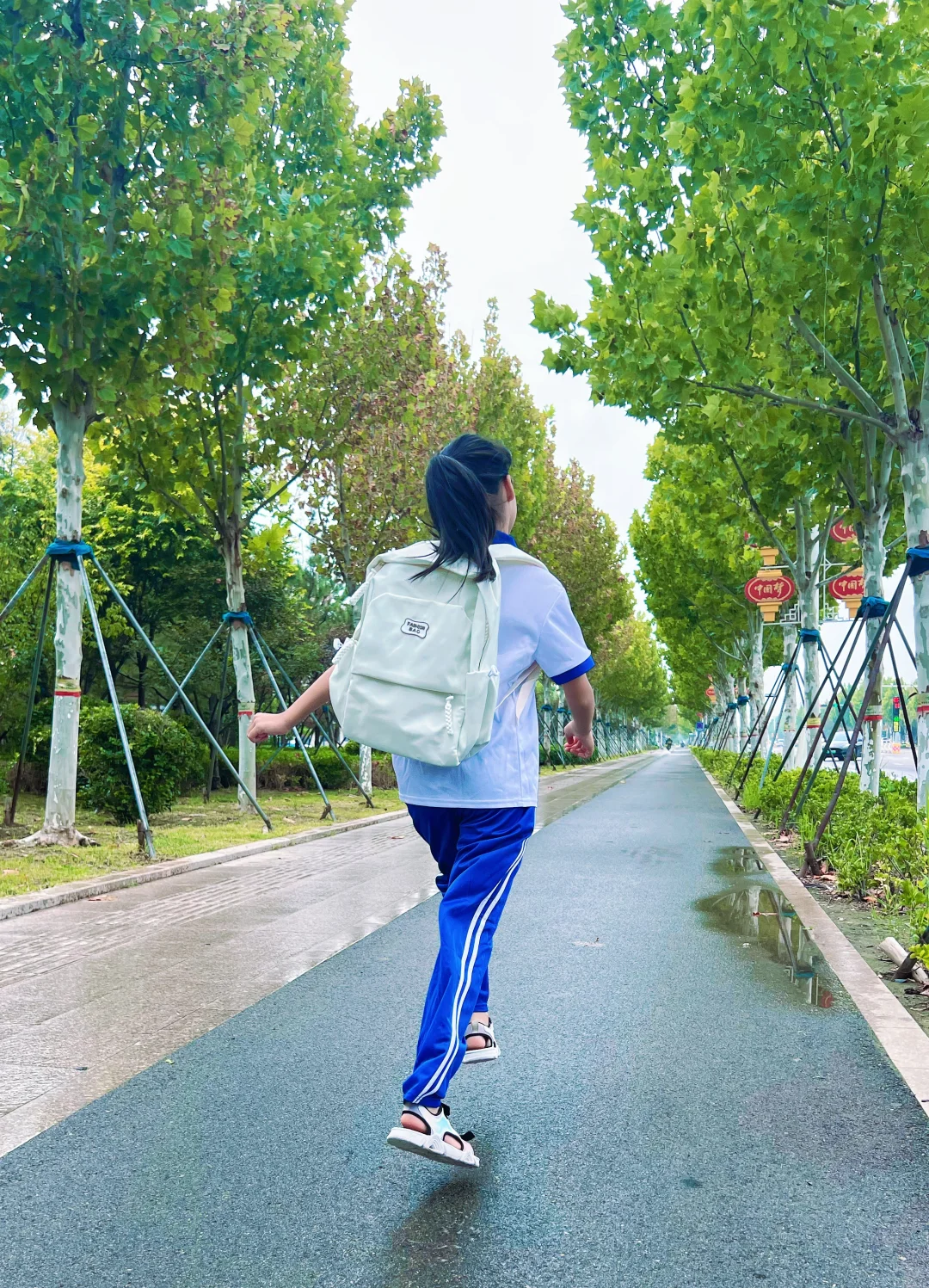 你好，中学生
