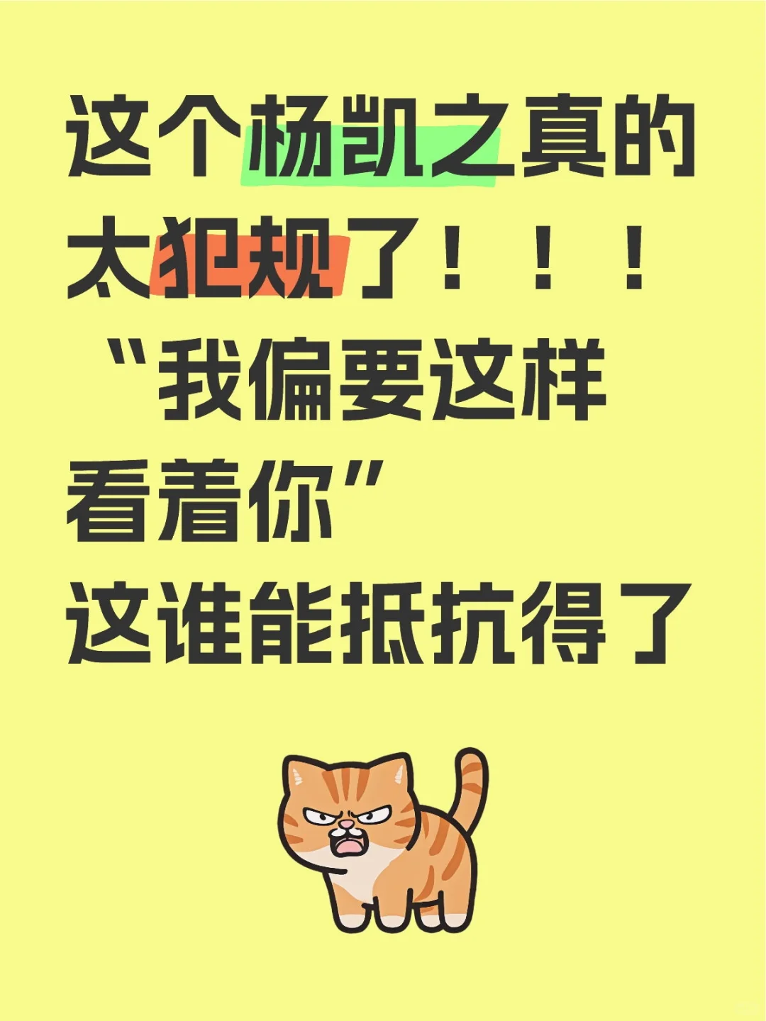 这个杨凯之太犯规了！！！