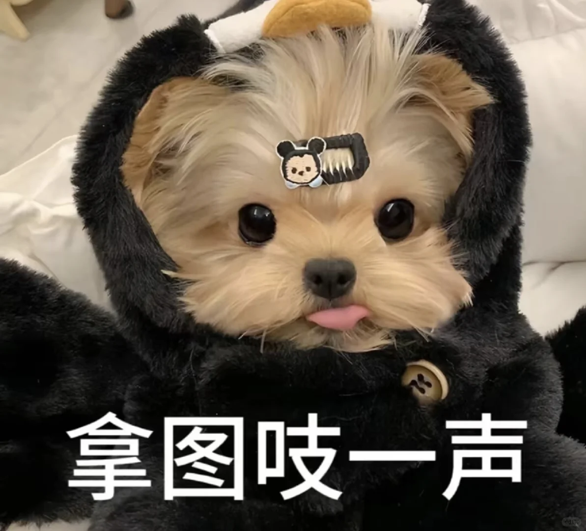 中式女头像