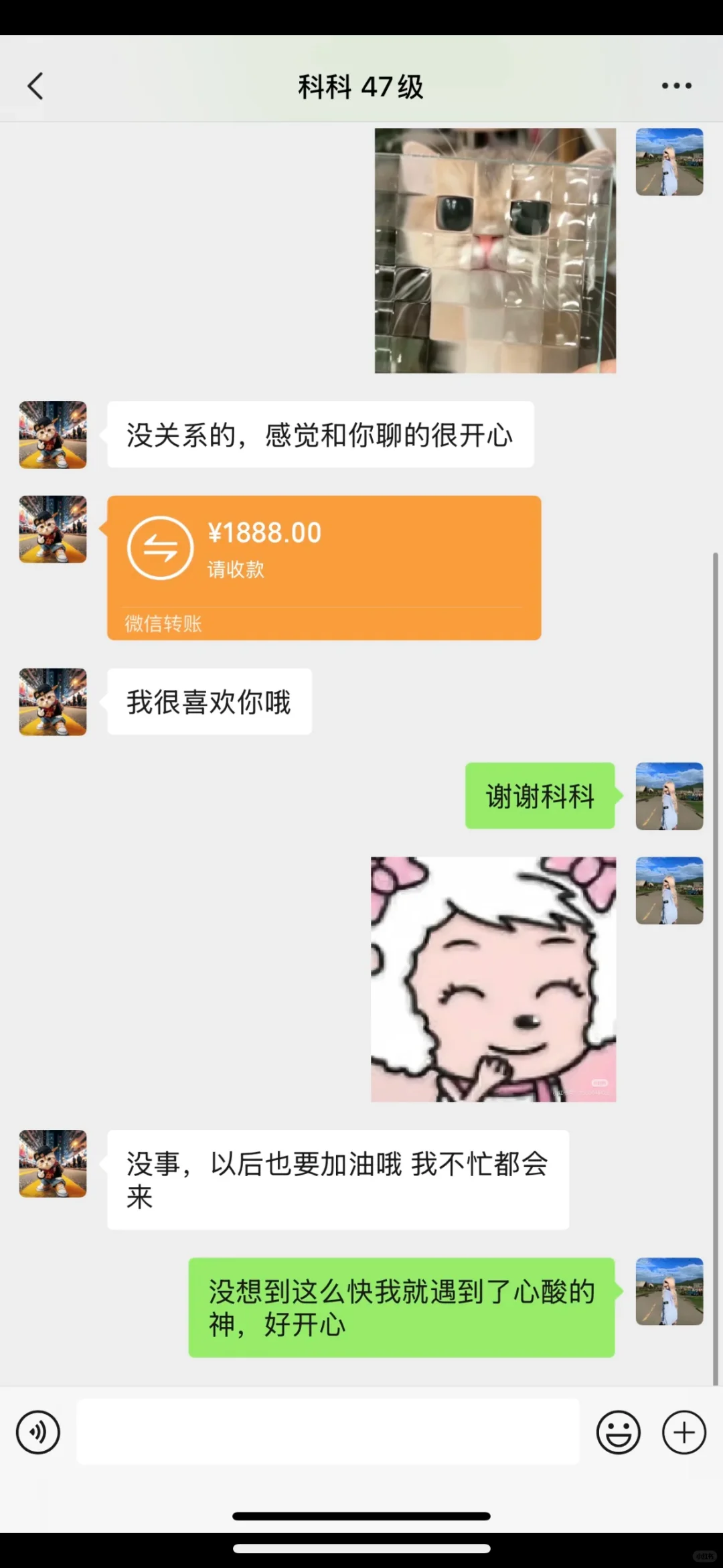 直播第五天，等到心软的神啦