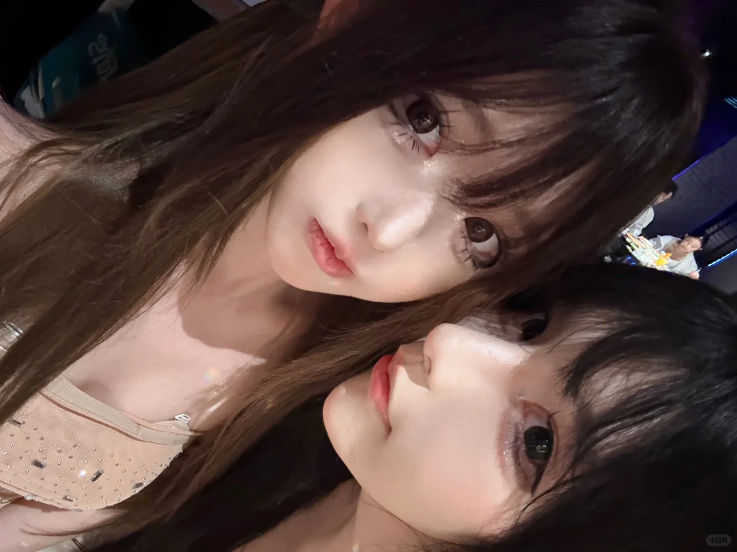 美女 如果我捡到了你的狗 我不会归还