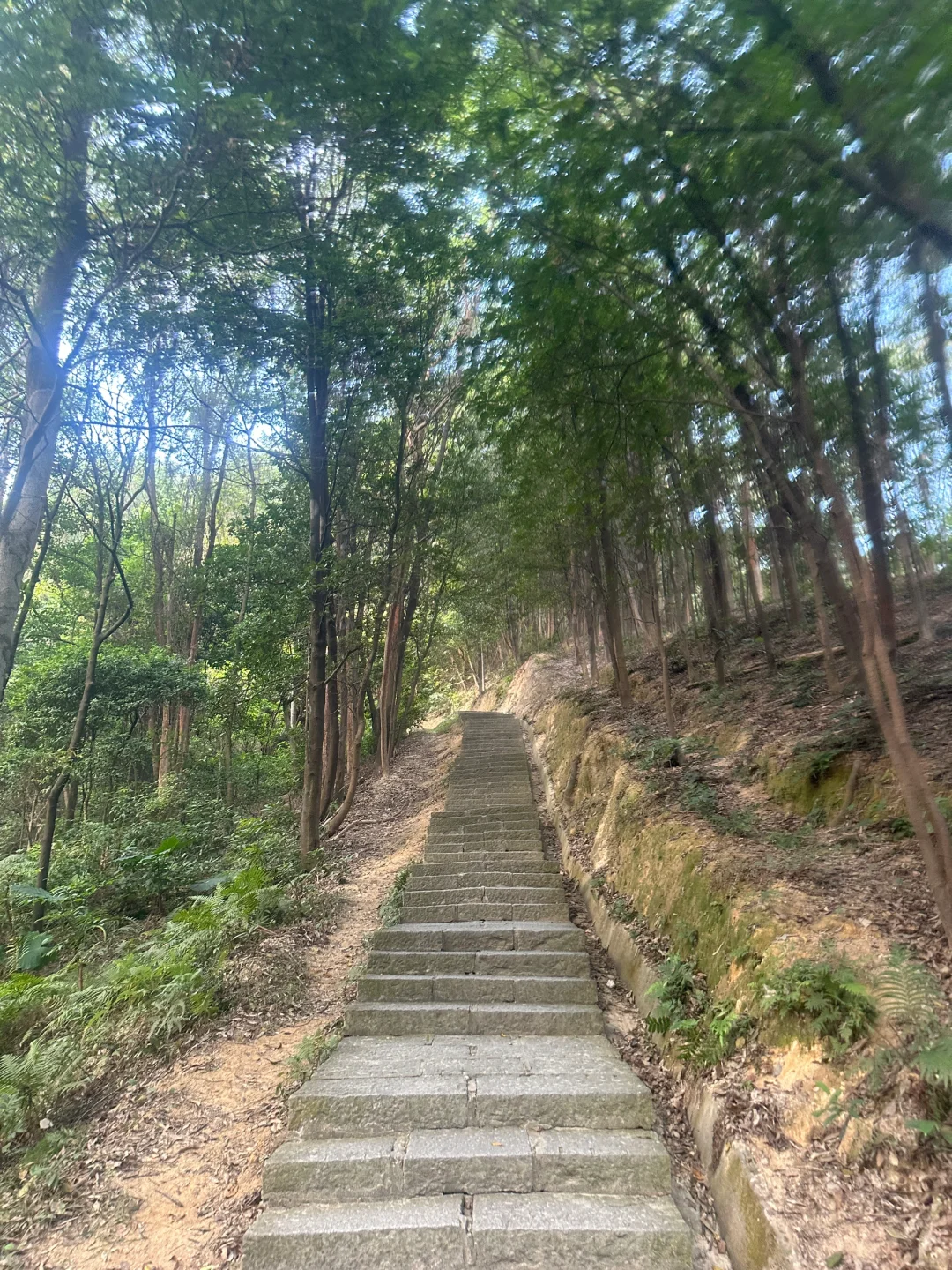 45岁中年妇女的日常