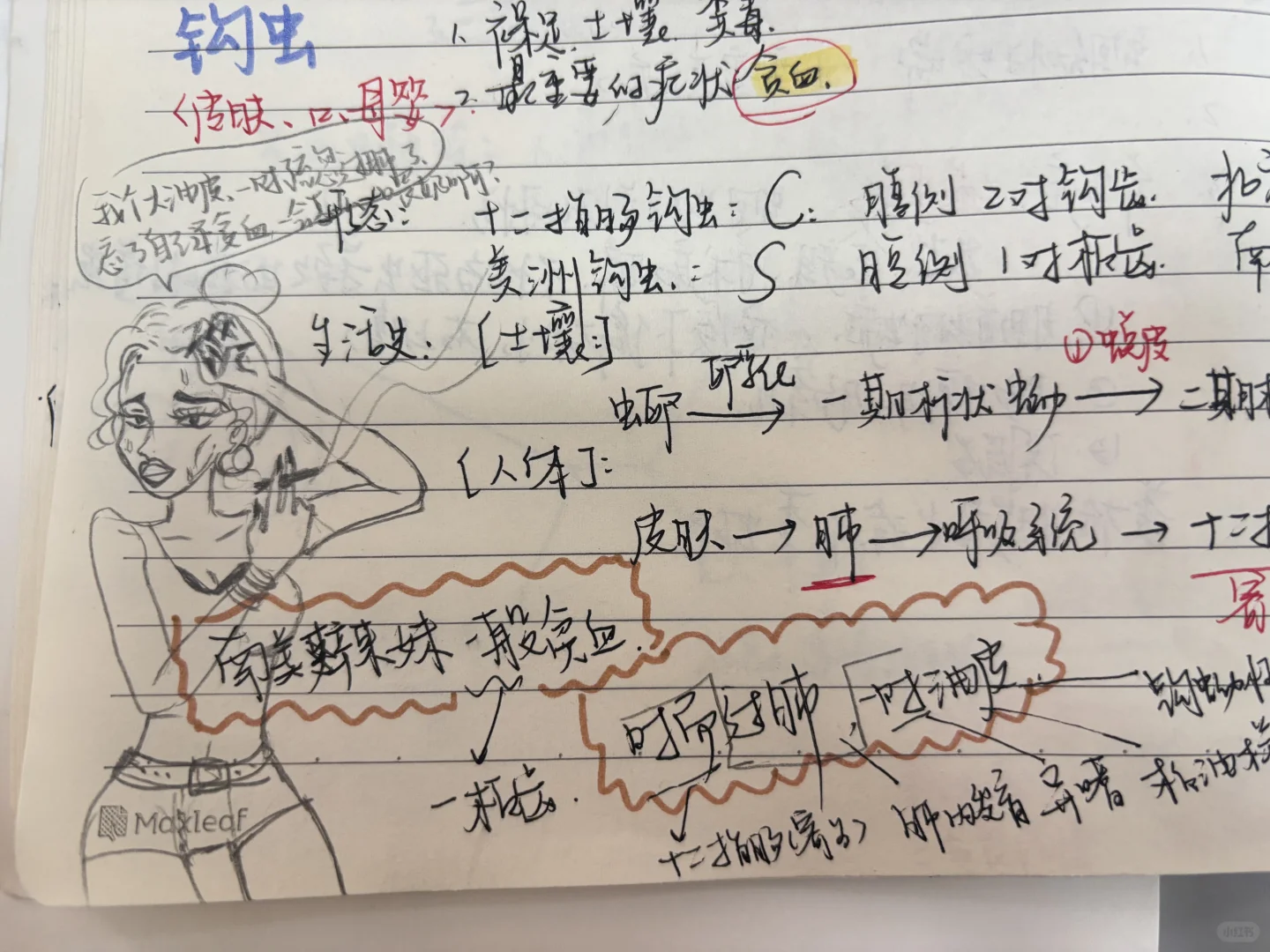 南美辣妹一般贫血，时而油皮，一时过肺