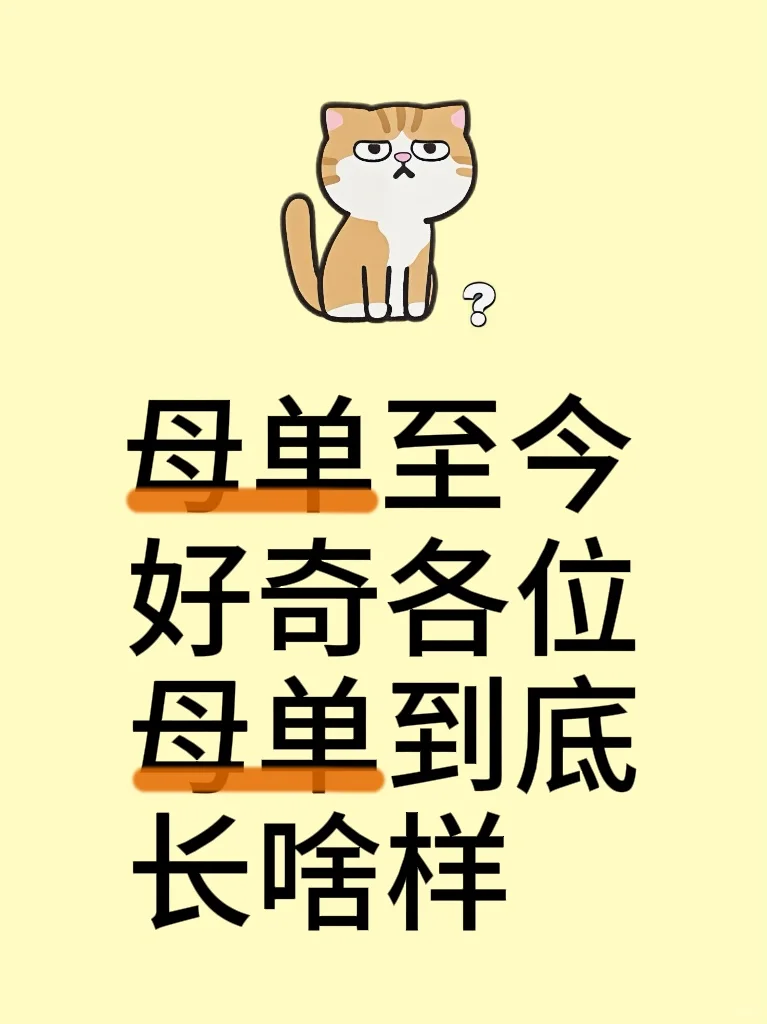 好奇各位母单长啥样