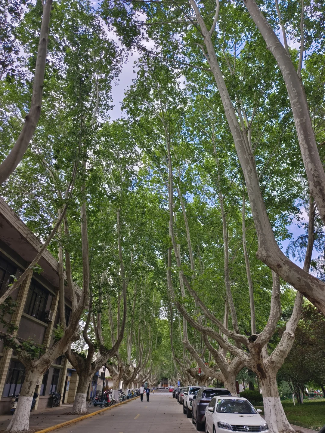 比亚迪离职｜人生不止一条路，饿不死