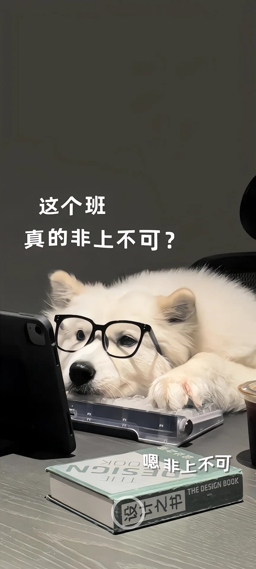 聊天背景图该换了，进来看看肯定有你喜欢的