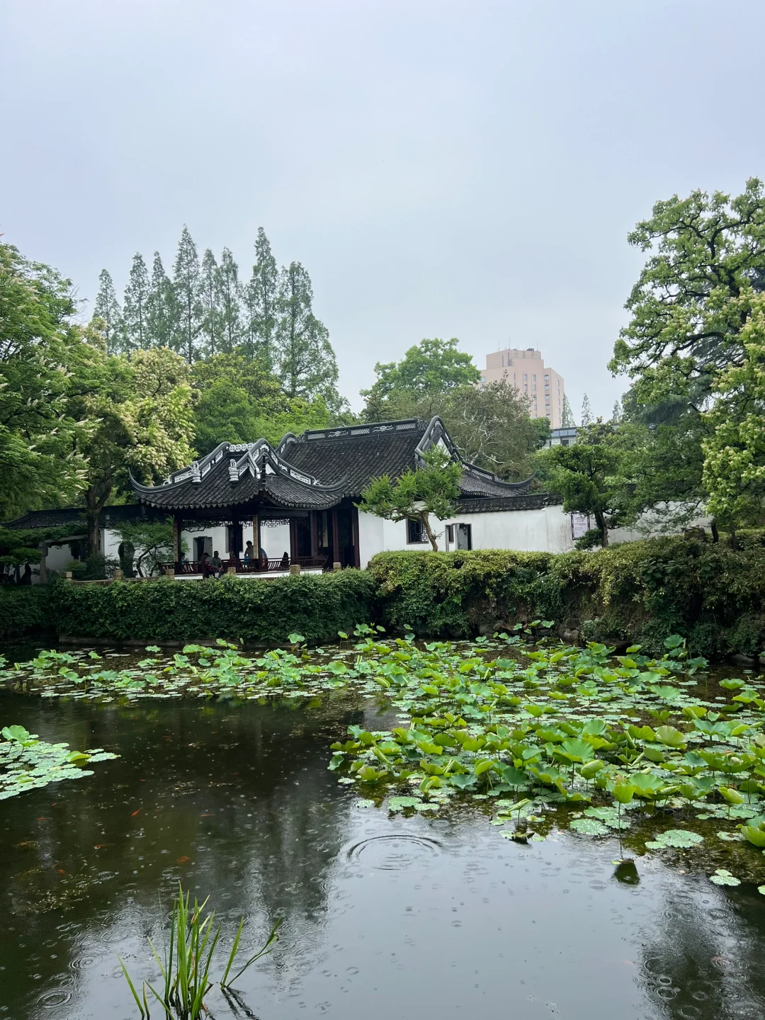 最爱白色系