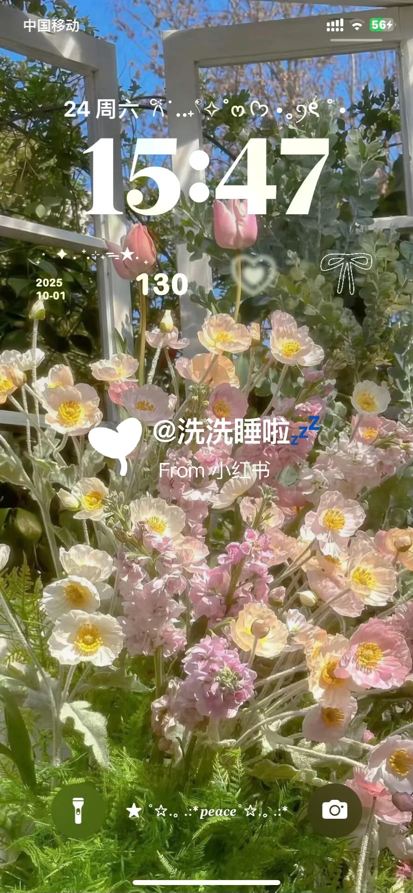 好喜欢我的壁纸！！！🌸