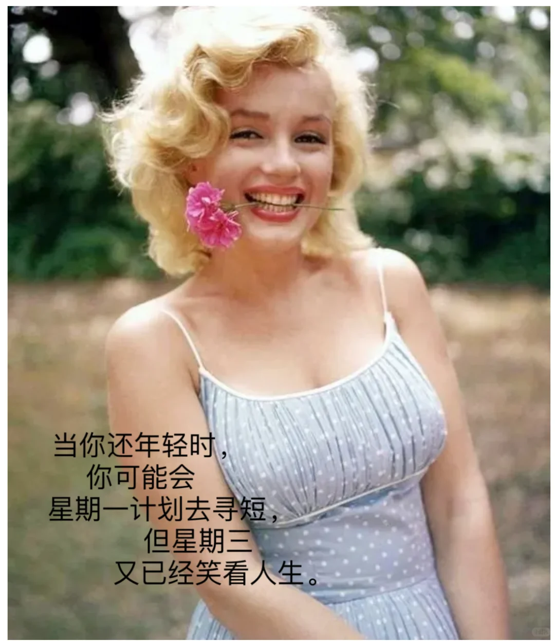 8月5日是性感女神玛丽莲•梦露去世纪念日！