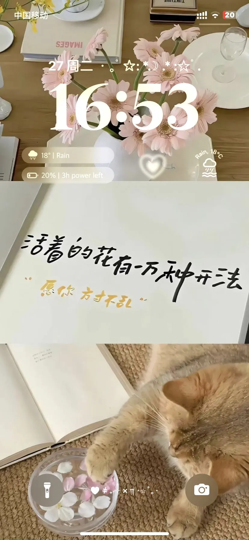 好喜欢今天的壁纸