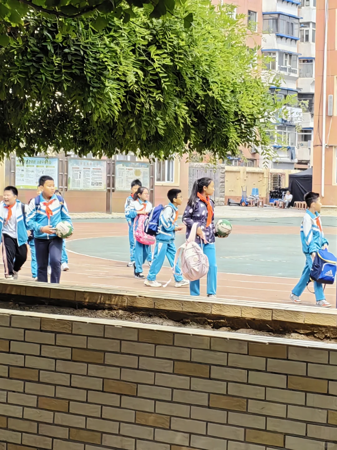 森中有林，有高圆圆哈