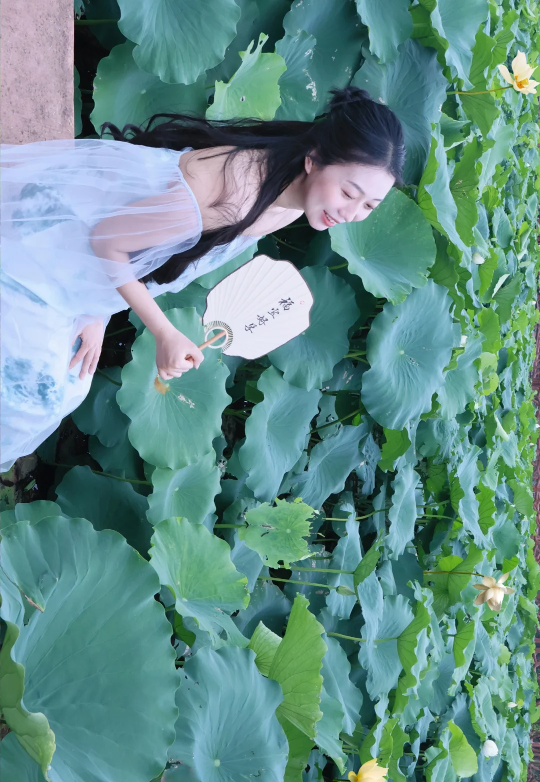 室外孕妇照之荷花池