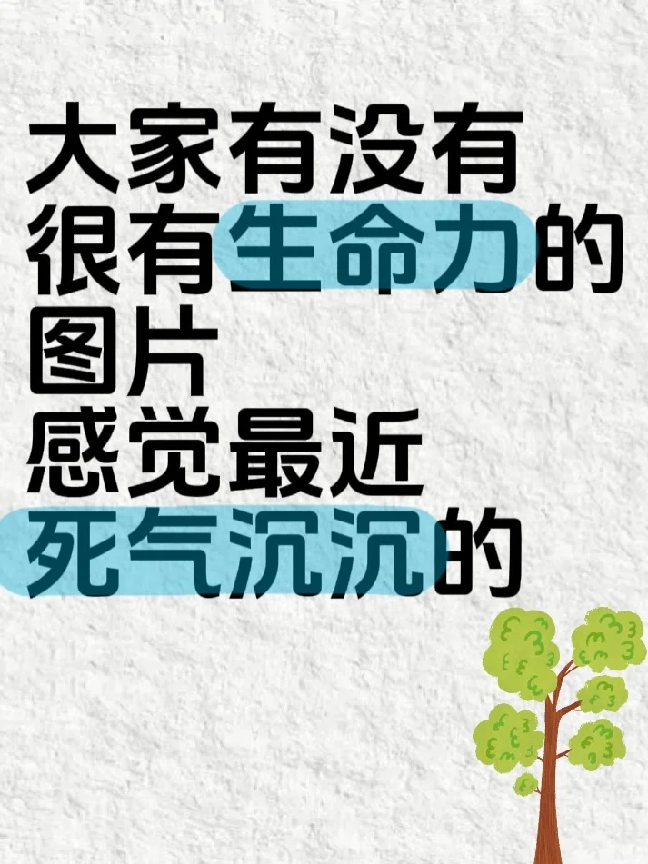 大家有没有很有生命力的图片