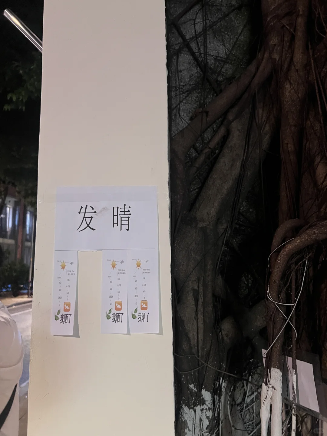 🥱我在东山口到处“发晴”☀️