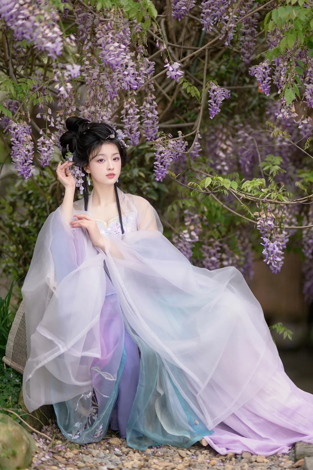 古风与紫藤花