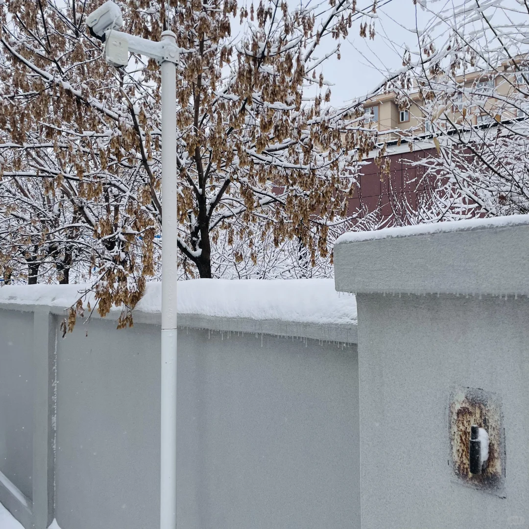冬❄️
