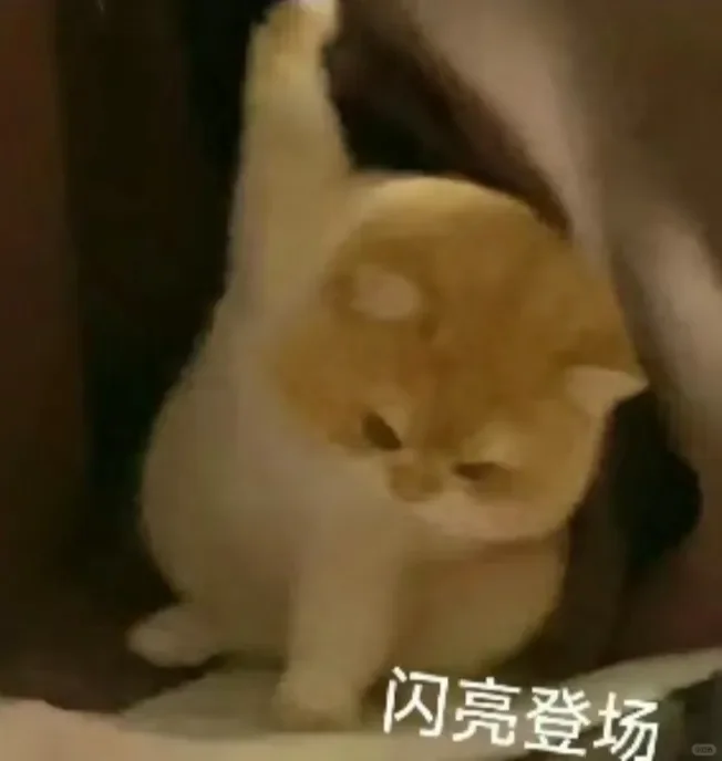 真的好喜欢这个表情包