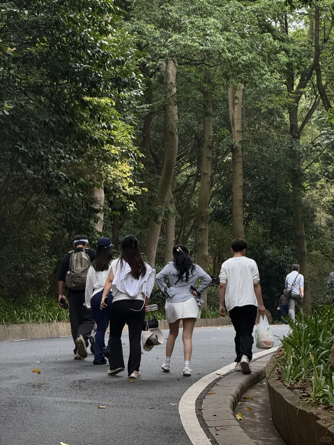 随缘白云 | 卡路里与美食不必势不两立