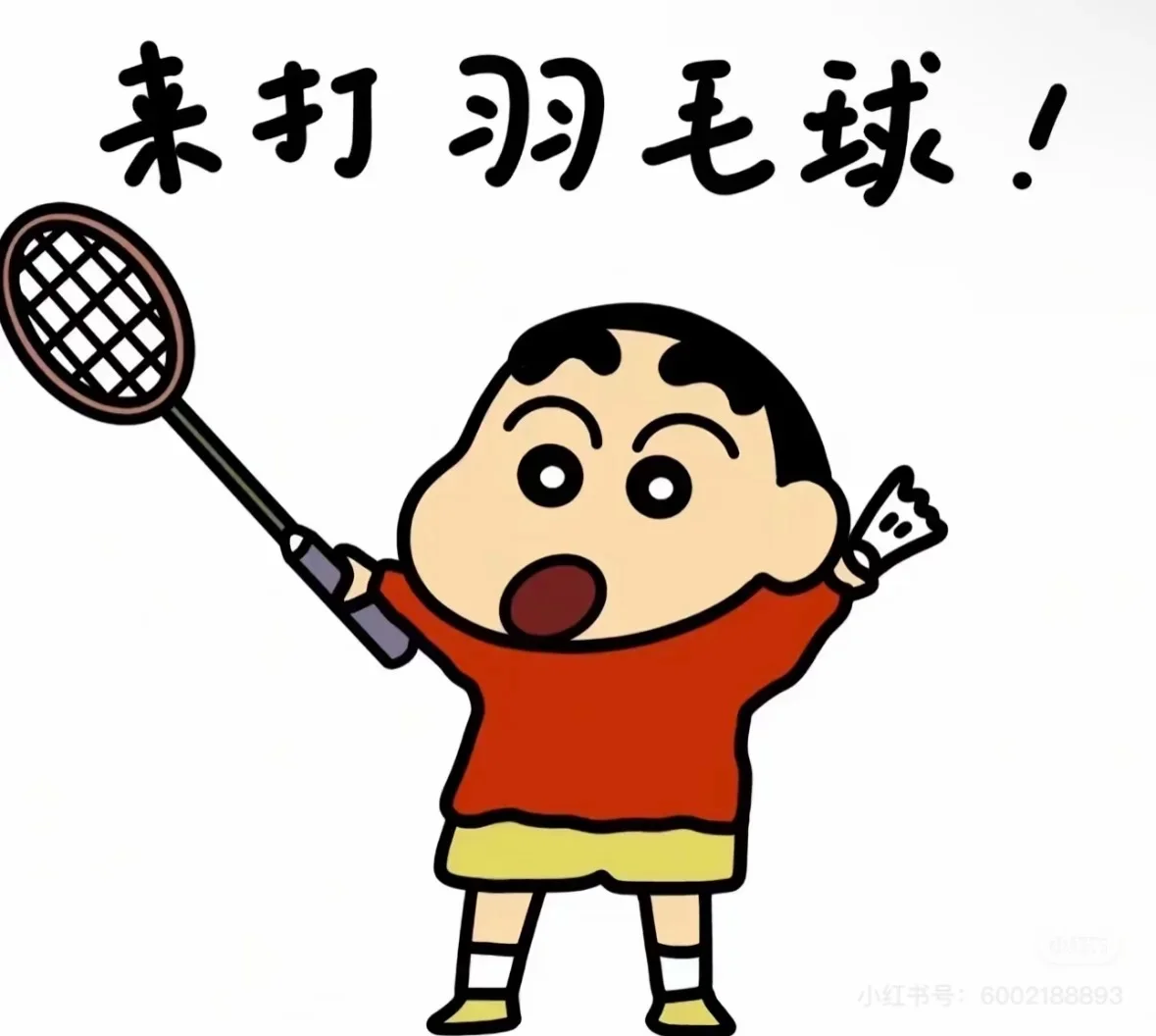 本人疯狂寻找运动搭子中……