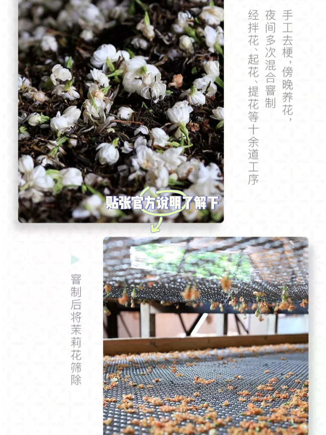开汤记录📝大益-碧雪凝香<2101>茉莉青饼