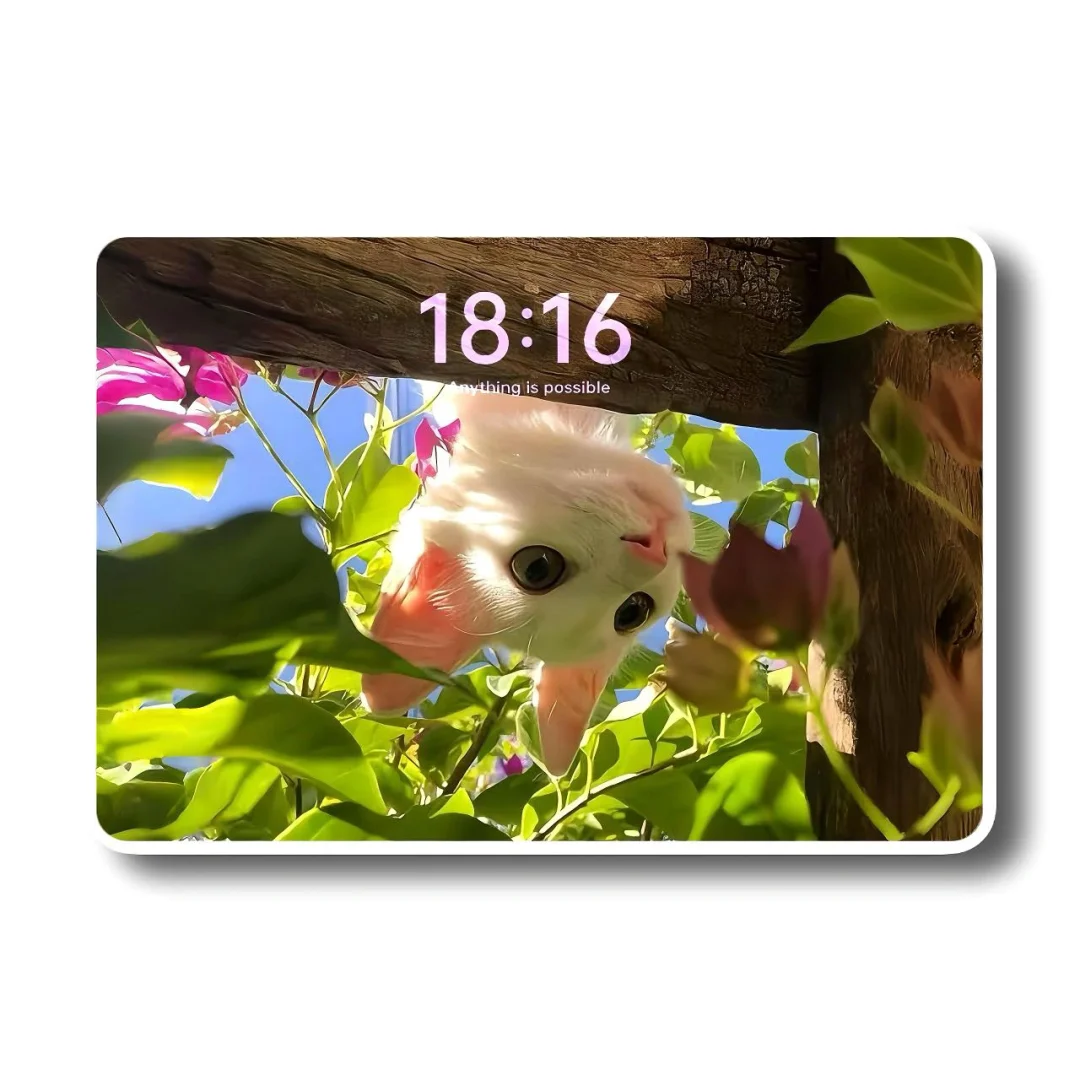 平板壁纸｜变成一只自由的小猫🐱