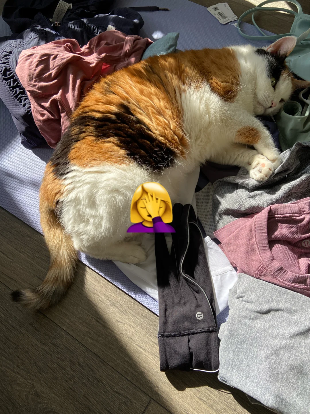 买了10000+的 lululemon 真实感受分享