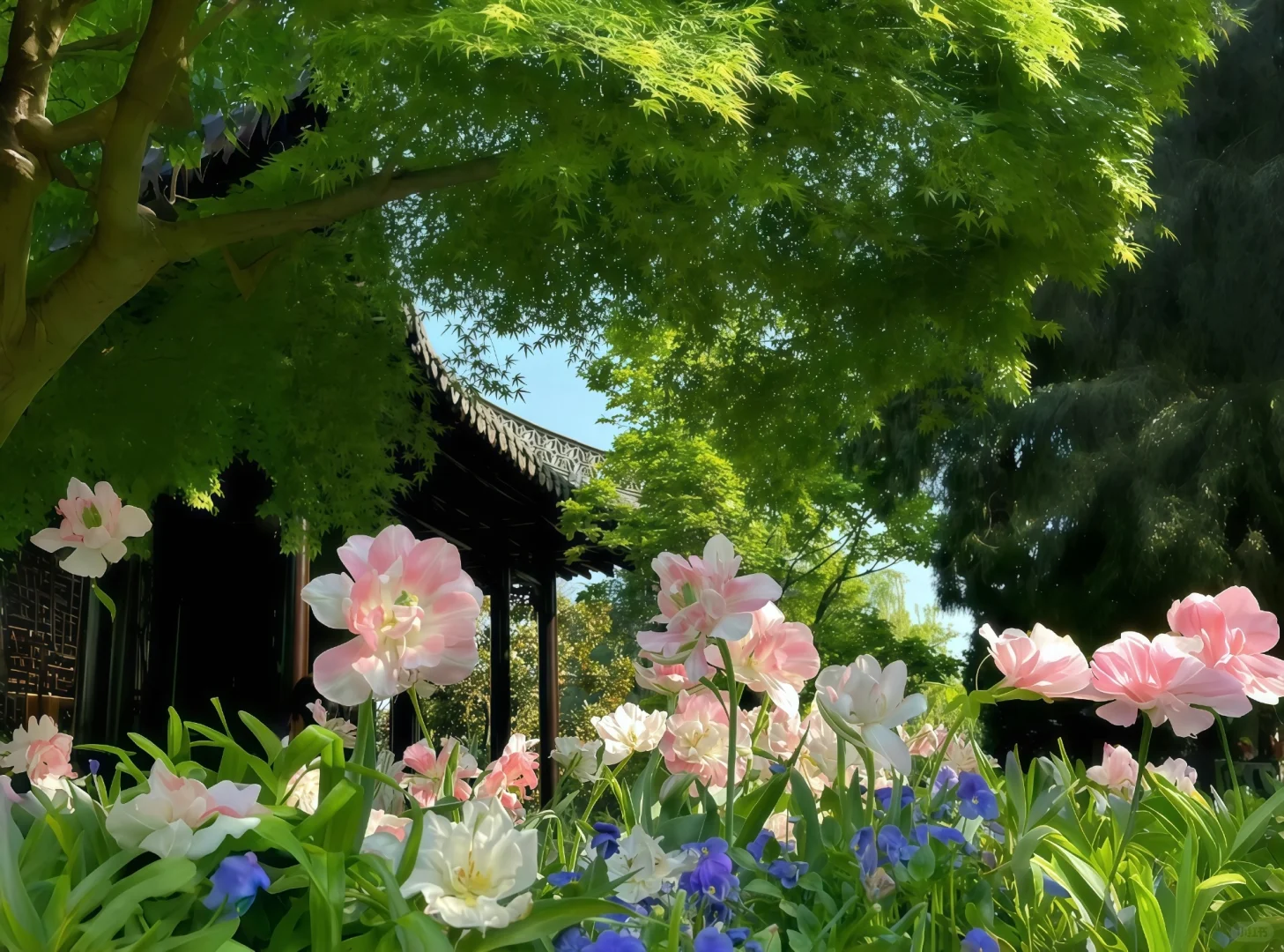 IPad🌱绿色壁纸🍀
