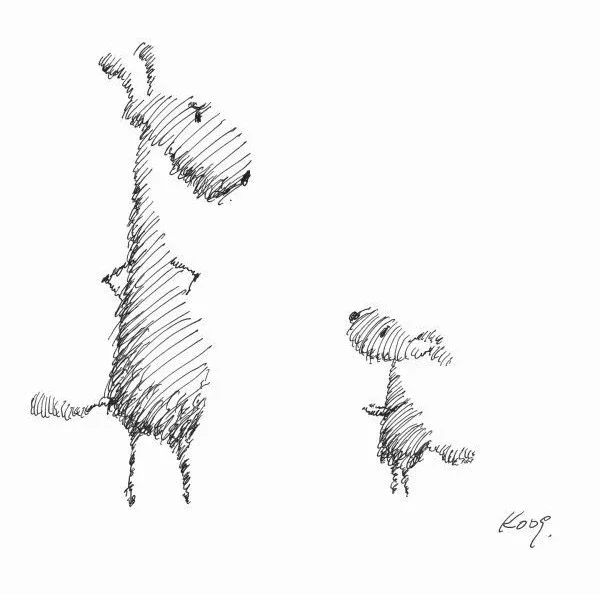 看看韩国朋友画的修勾🐶