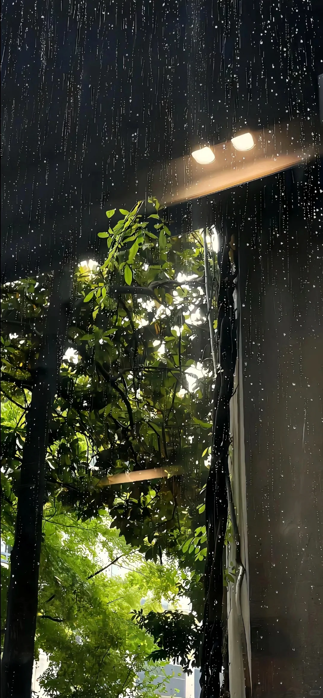消失的下雨天，我好想再淋一遍