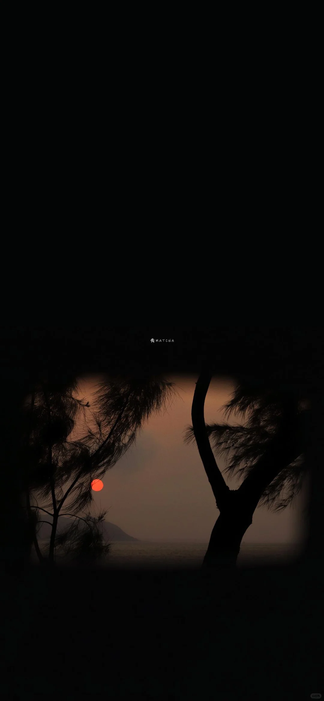 浪｜壁纸