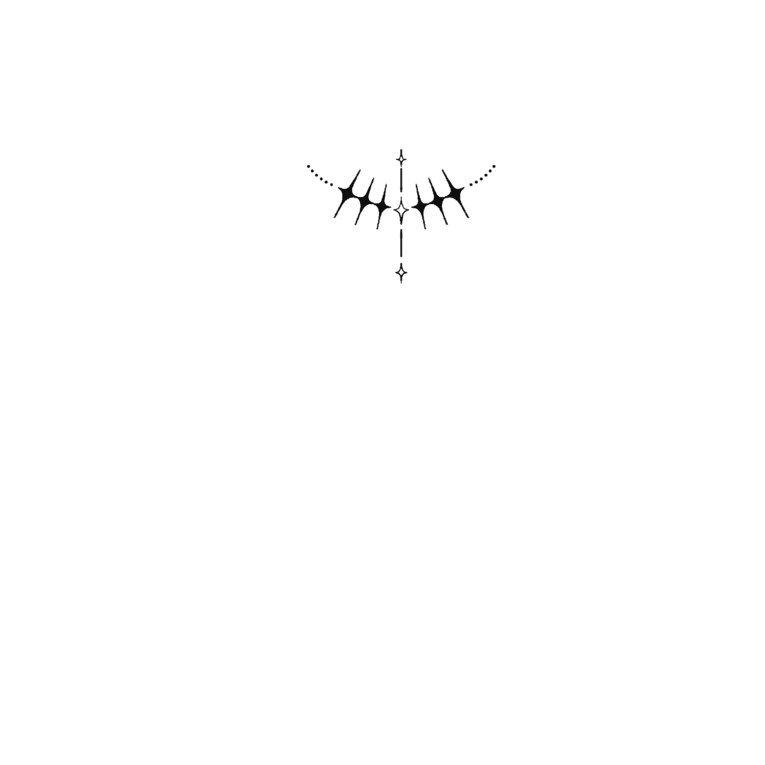 公开摸鱼‖天使加冕仪式